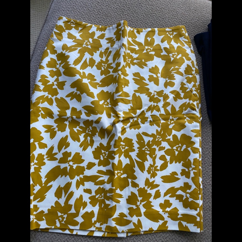 NWT Loft Pencil Skirt
